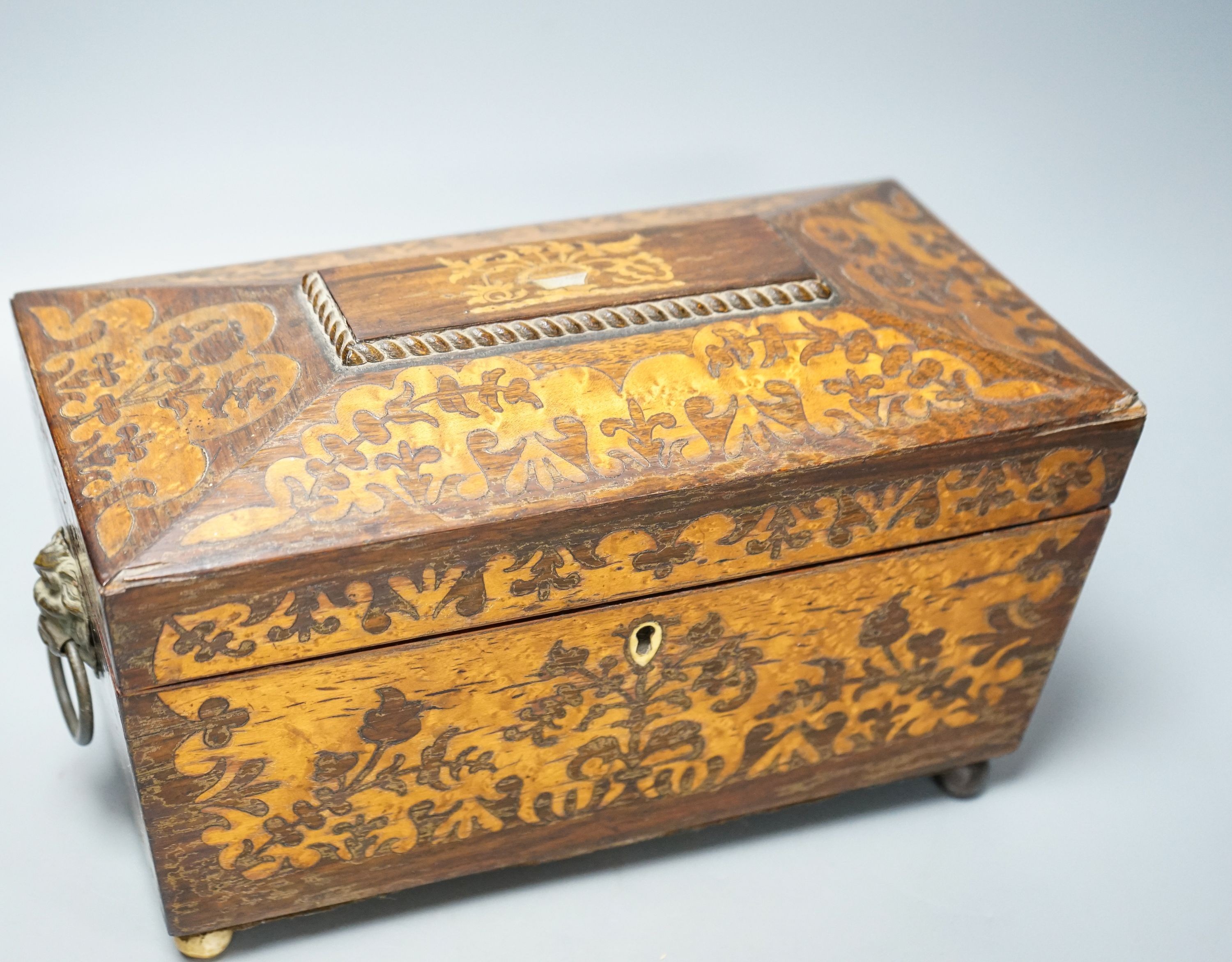 A 19th century rosewood and bird’s eye maple tea caddy, of sarcophagus form, the interior with mixing bowl, on ball feet 31cm